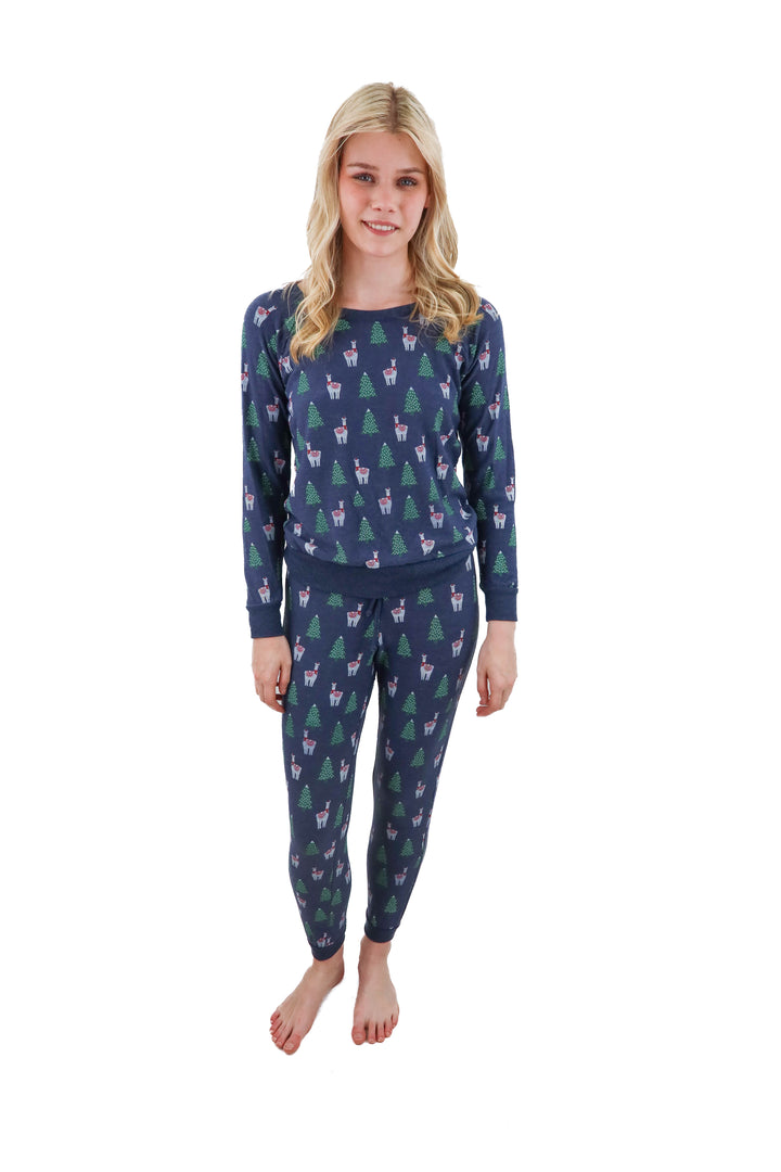 chaser christmas pajamas (s; retail $78)