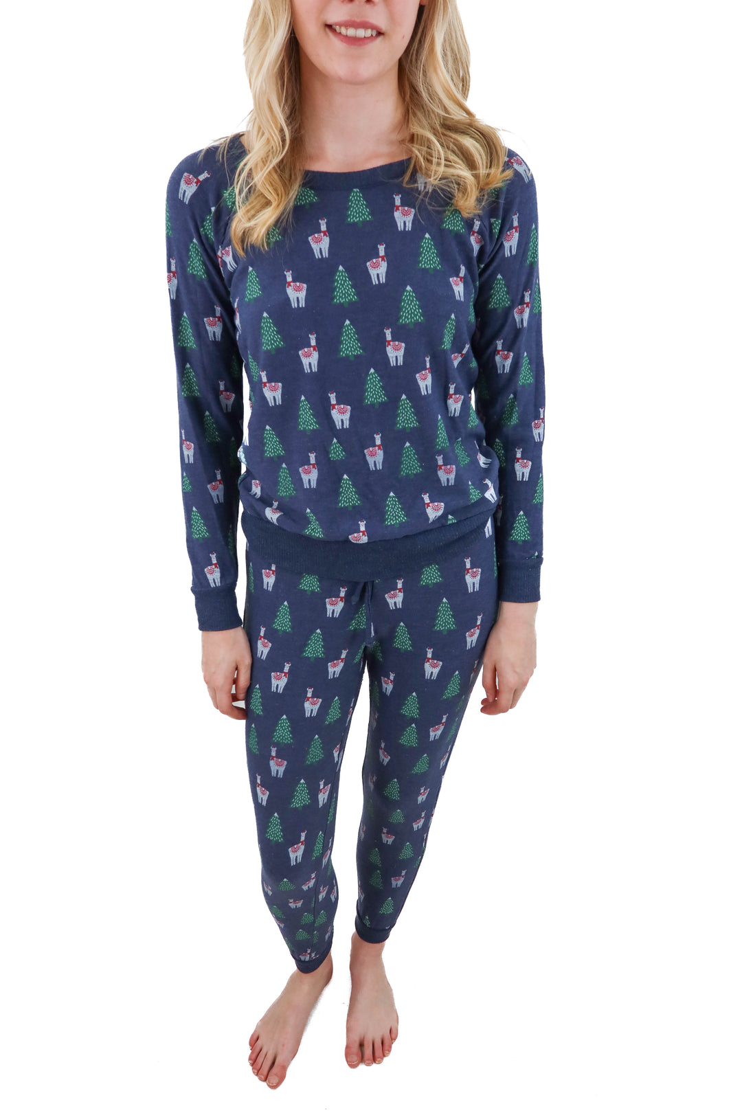 chaser christmas pajamas (s; retail $78)