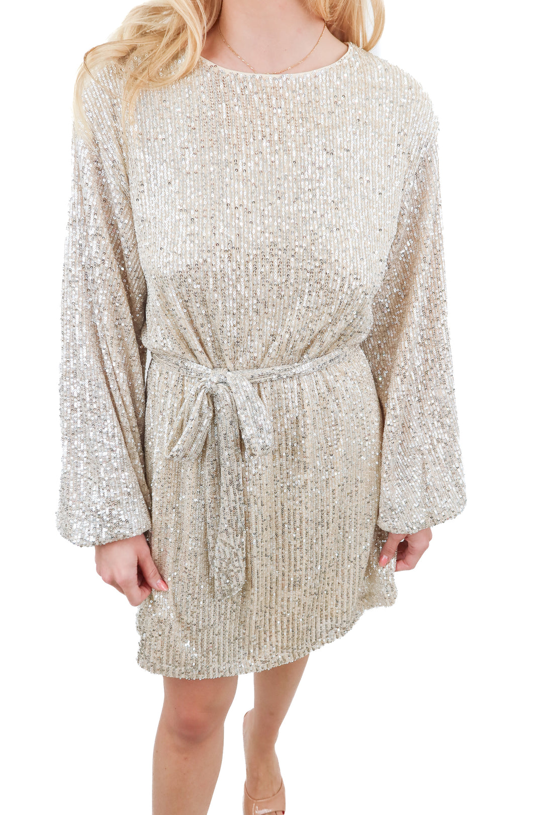 aeom champagne sequin mini dress (S)