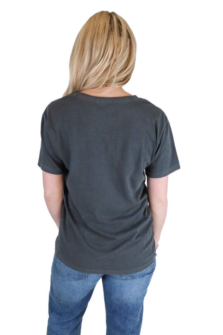Vici Grey and Blue “Montana” T-Shirt (M; retail $44)