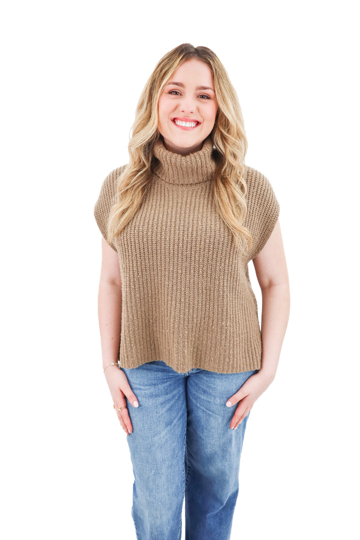 splendid x cella janeslog brown knit top (s)