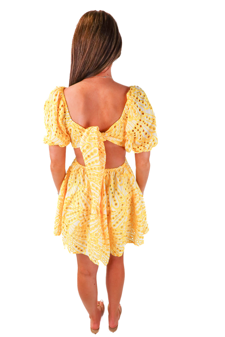 showpo yellow/white eyelet mini dress NWT (4)