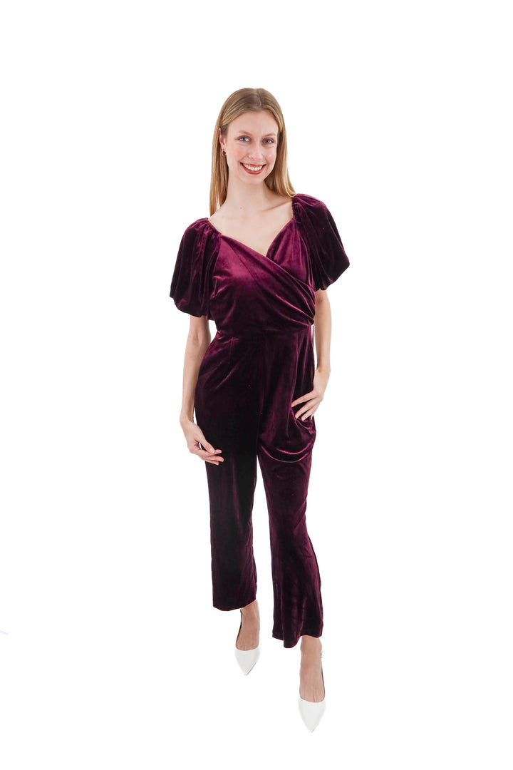 ivy city plum velvet jumpsuit nwt (s; retail $125)