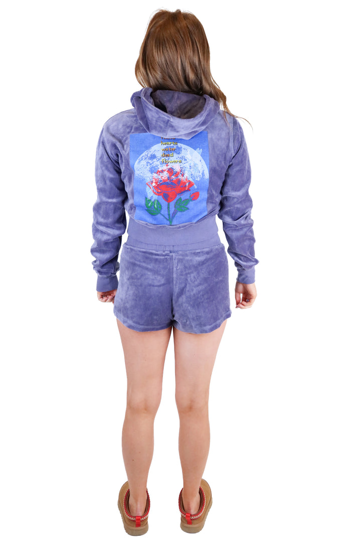 boys lie purple velvet lounge set (xs/s; retail $205)