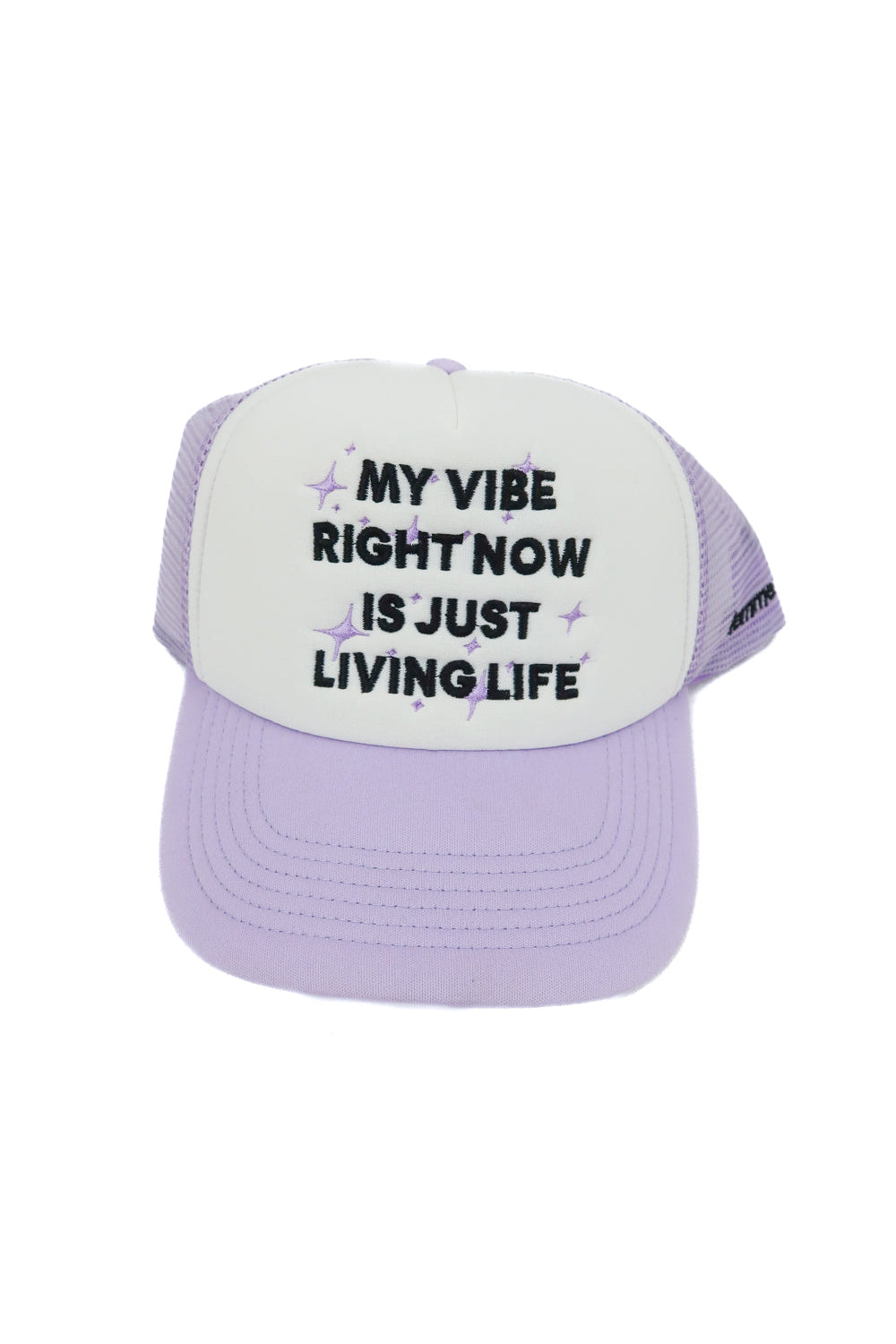 my vibe right now purple trucker hat