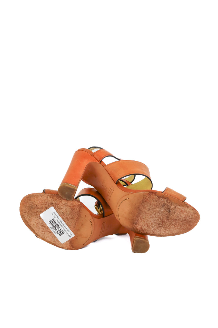 coach tan chunky heel sandals (7.5; retail $195)
