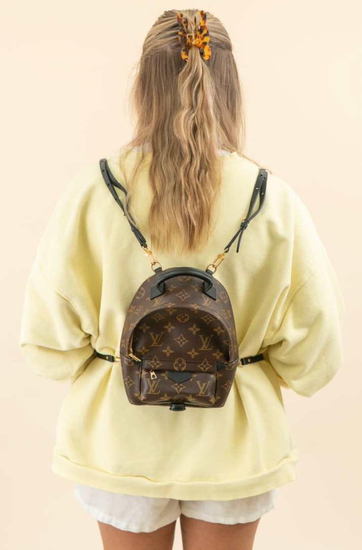 Louis Vuitton Palm Springs Mini Backpack NWOT (retail $2,770)