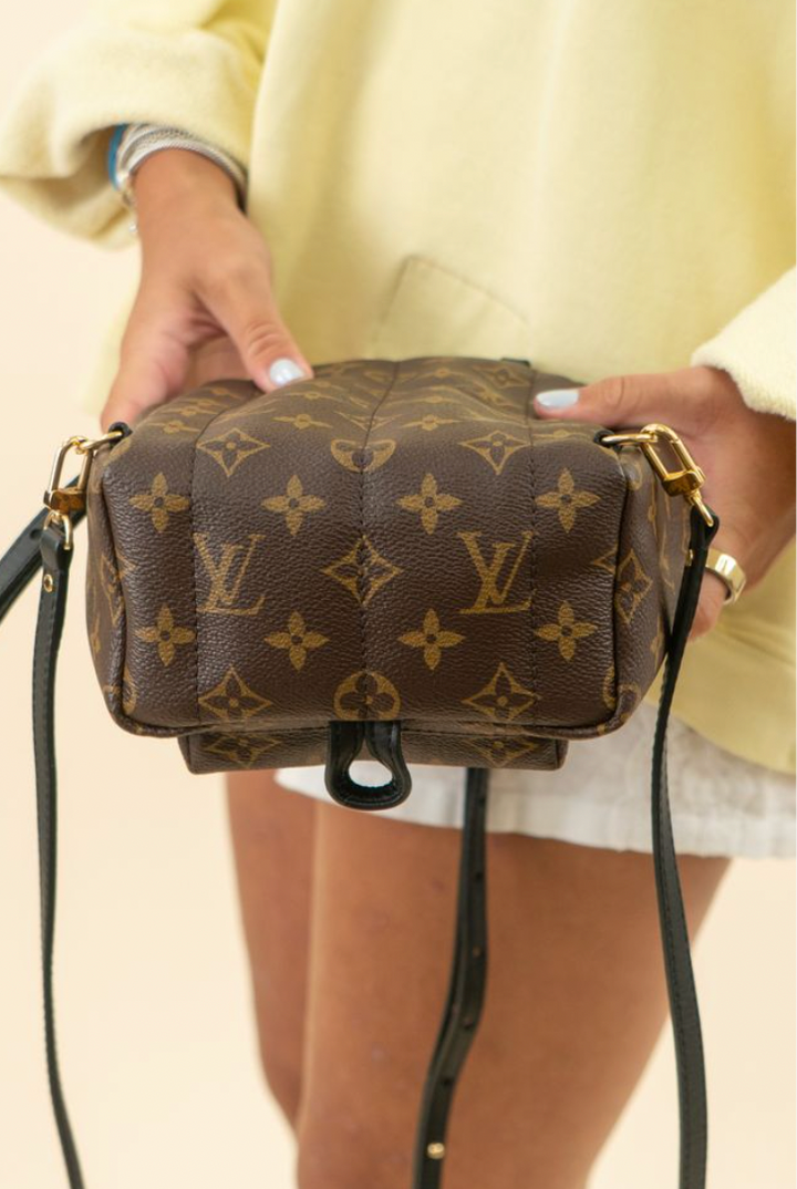 Louis Vuitton Palm Springs Mini Backpack NWOT (retail $2,770)