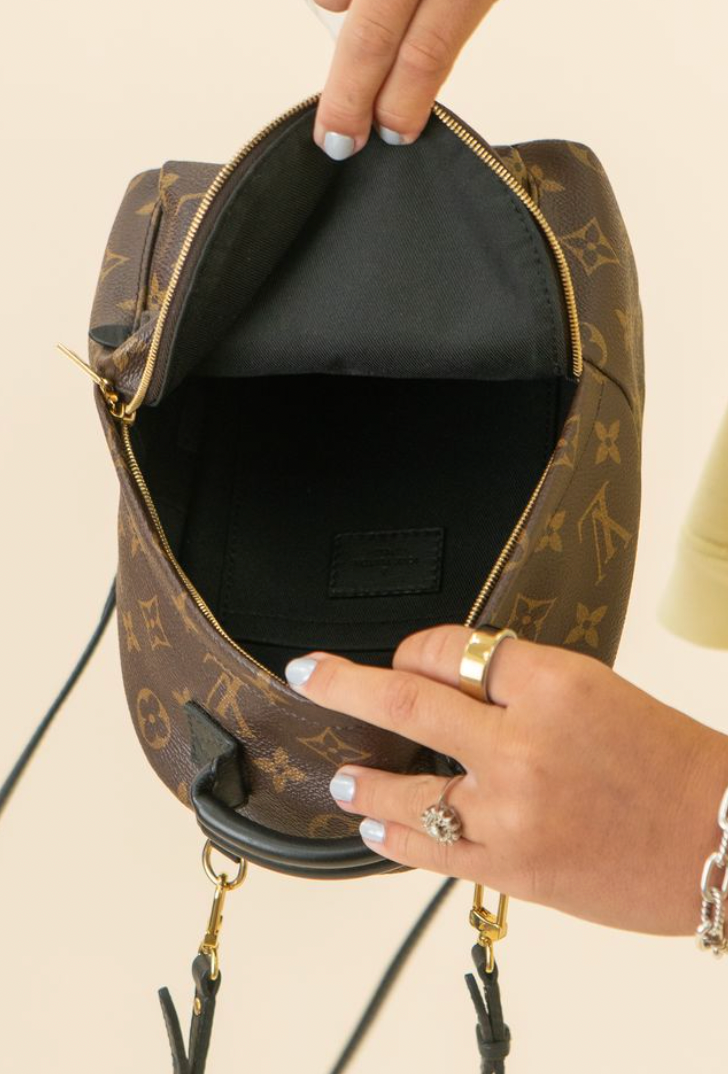 Louis Vuitton Palm Springs Mini Backpack NWOT (retail $2,770)