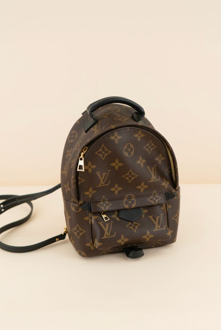 Louis Vuitton Palm Springs Mini Backpack NWOT (retail $2,770)