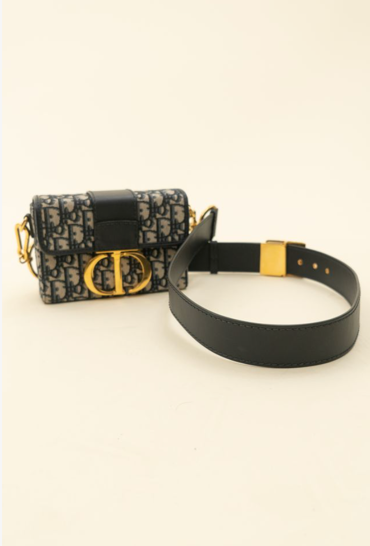 Dior 30 Montaigne Oblique (retail $4,000)