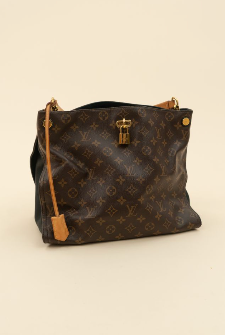 Louis Vuitton Monogram Gaia Hobo