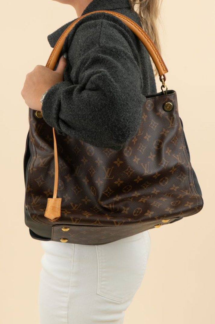 Louis Vuitton Monogram Gaia Hobo