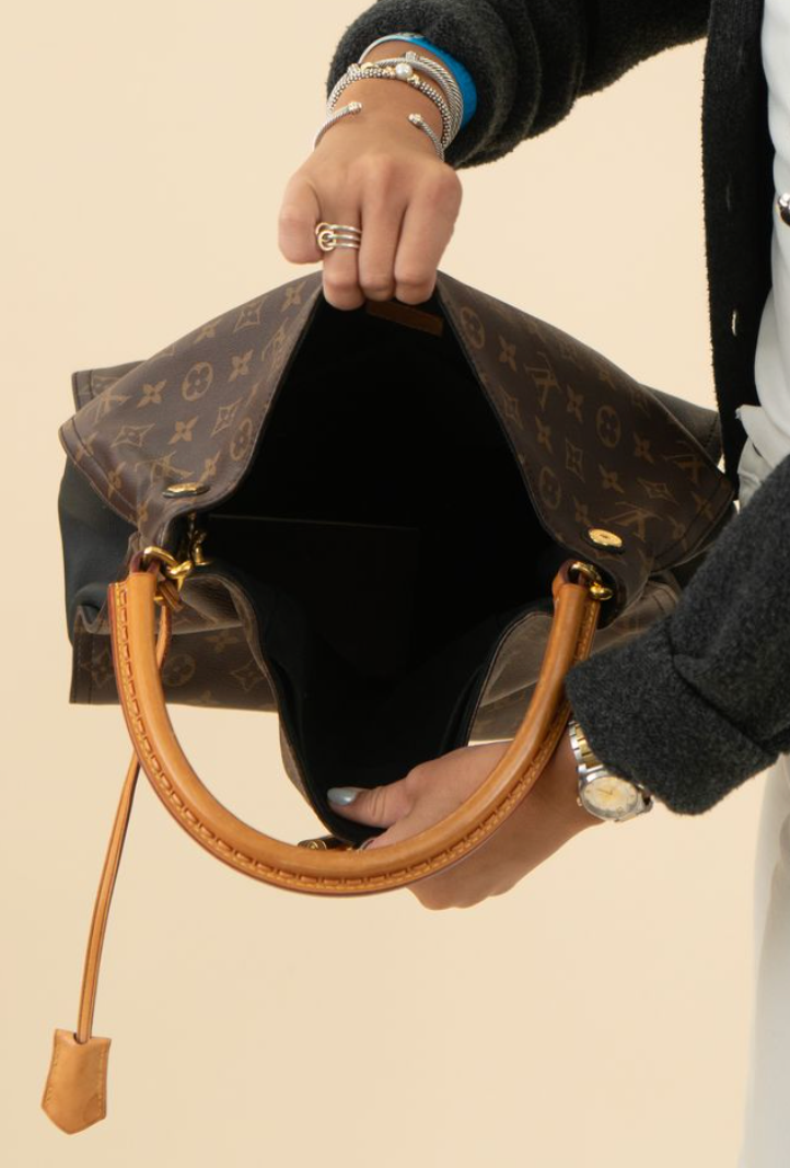 Louis Vuitton Monogram Gaia Hobo
