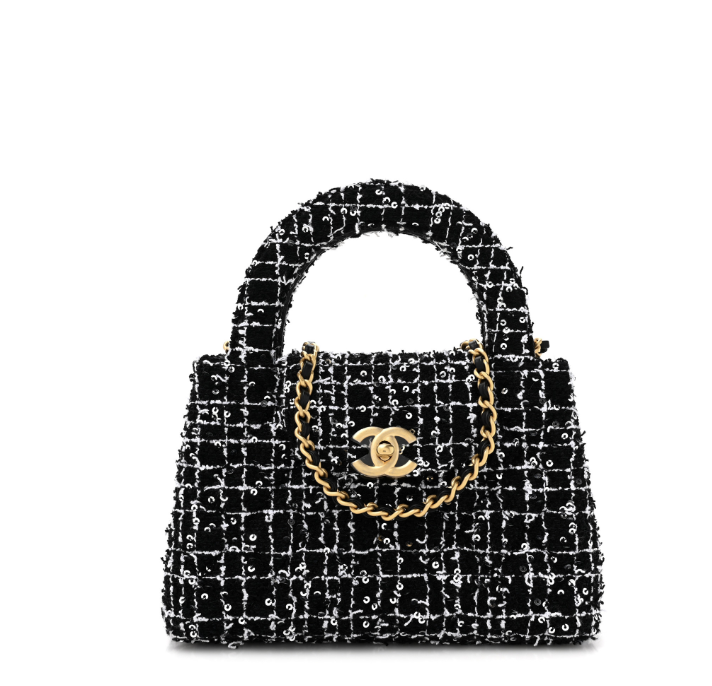 Chanel Nano Tweed Kelly Clutch on Chain Satchel NWOT (retail $4,500)