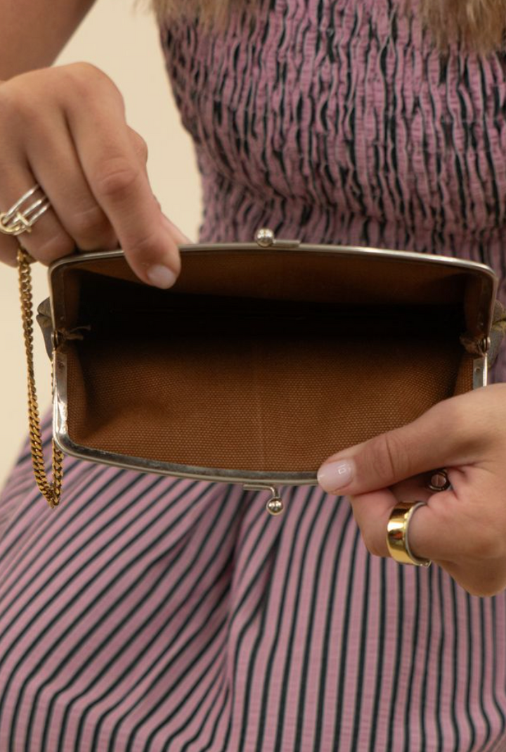 Louis Vuitton Kisslock Purse (vintage)